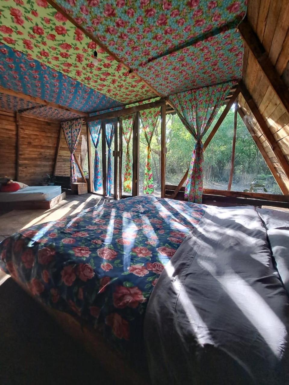 Hotel Planta Glamp Farm à Santa María Huatulco Extérieur photo