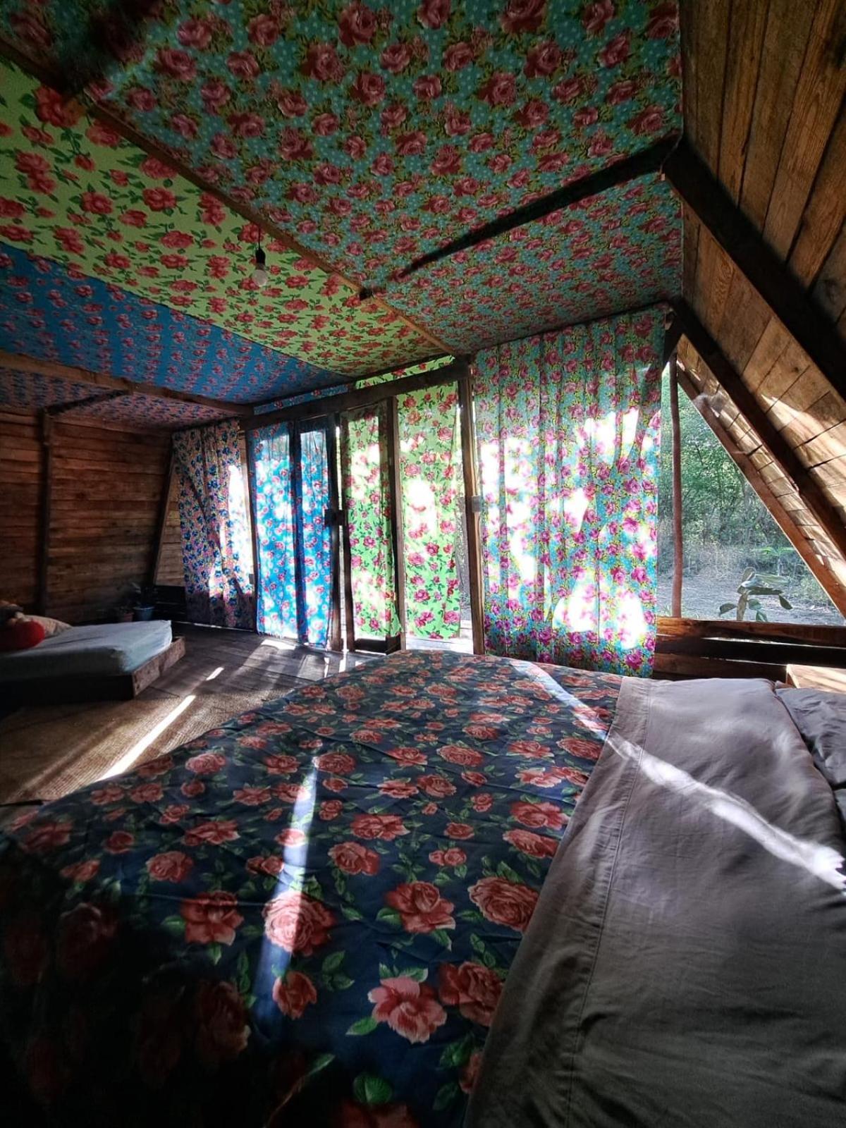 Hotel Planta Glamp Farm à Santa María Huatulco Extérieur photo